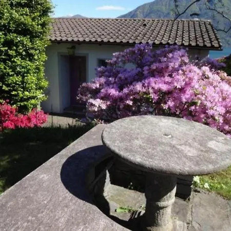 Eco-casa Paradiso P *